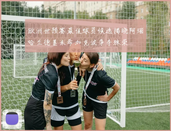 欧洲世预赛最佳球员候选揭晓阿瑙哈兰德基米希加克波争夺殊荣