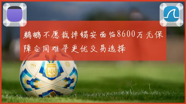 鹈鹕不愿裁掉锡安面临8600万无保障合同难寻更优交易选择