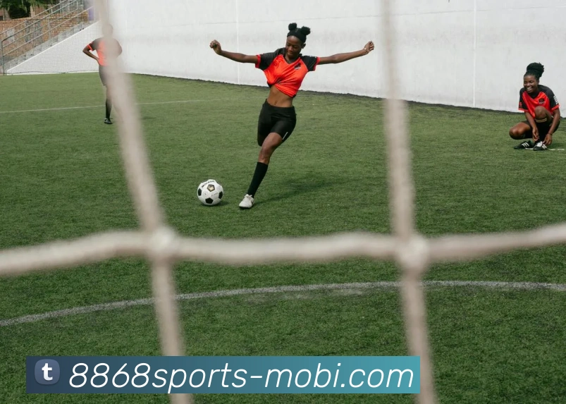 多媒体互动体验